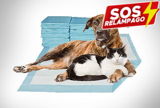 Pack de 20 Toallas de entrenamiento para tu mascota