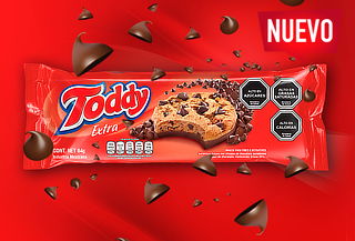 Pack 10 Toddy Extra 84 grs.