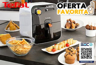 Freidora Fry Delight Tefal