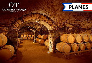 Wine Tour o Catas de vino en Viña Concha y Toro