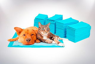 Pack 100 Toallas de Entrenamiento para Mascotas