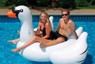 Cisne Flotador Inflable Grande 1.5 mts o Gigante 1.9 mts