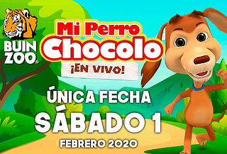 Perro Chocolo Buin Zoo