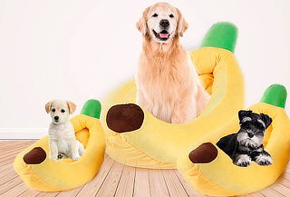 Cama para Mascotas Modelo Plátano, Tamaño a Elección