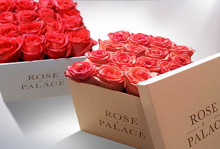 Arreglo de 16 o 25 rosas caja de Rose di Palace