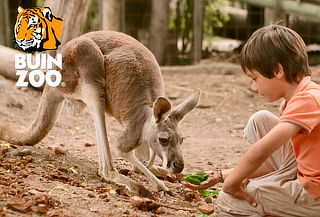 Entrada para Buin Zoo para adulto o niño