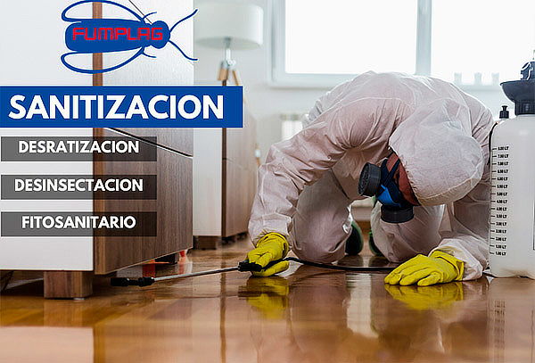 S.O.S!!! Sanitización para hogar de 80 mts2