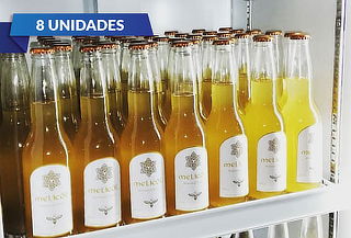 8 Botellas de 355cc Hidromiel Melicöl + Despacho Santiago