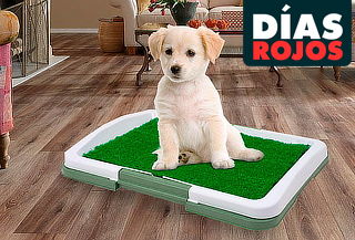 Baño ecológico para mascotas
