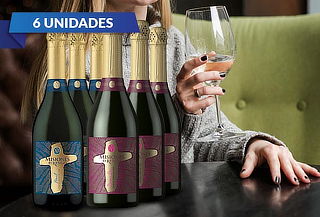 6 Botellas de Espumante Misiones de Rengo a elegir .