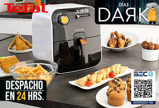 Freidora Fry Delight Tefal