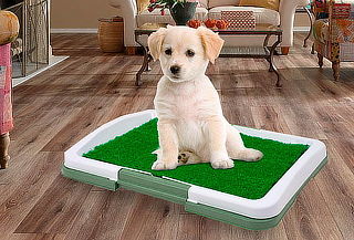 Baño Ecologico Para Mascotas Perros Puppy Potty Pad