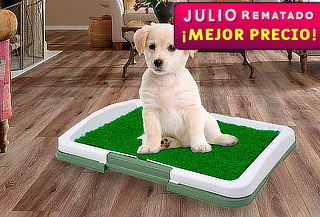 Baño Ecologico Para Mascotas Perros Puppy Potty Pad