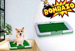 Baño Ecologico Para Mascotas Perros Puppy Potty Pad