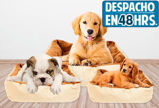 Cama + Cojín para Mascotas, 4 Tamaños a Elección