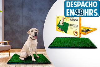 Baño Ecológico XXL Perros Gatos Doggy Potty Petwoow