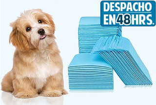 Pack 100 Toallas de Entrenamiento para Mascotas