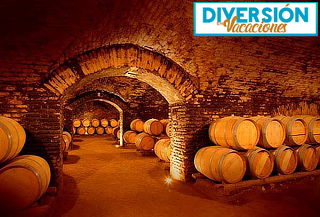 Wine Tour o Catas de vino en Viña Concha y Toro
