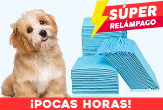 Pack 100 Toallas de Entrenamiento para Mascotas 