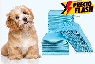 Pack 100 Toallas de Entrenamiento para Mascotas