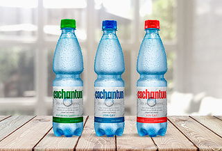 24 Botellas Agua Mineral Cachantun 500 cc, a Sin gas.