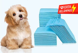Pack 100 Toallas de Entrenamiento para Mascotas