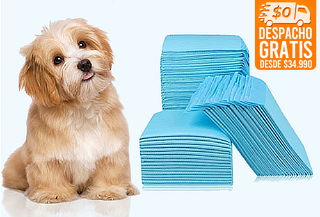 Pack 100 Toallas de Entrenamiento para Mascotas