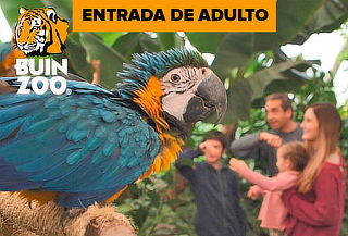 Entrada para Buin Zoo para adulto