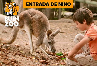 Entrada Buin Zoo para niño