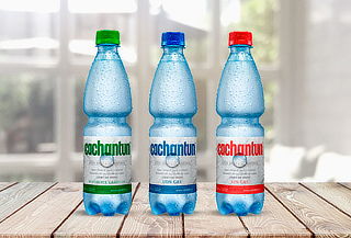 24 Botellas Agua Mineral Cachantun 500 cc, a elección