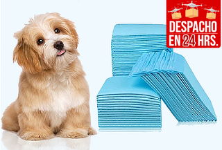 Pack 100 Toallas de Entrenamiento para Mascotas
