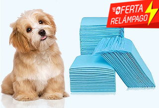 Pack 100 Toallas de Entrenamiento para Mascotas