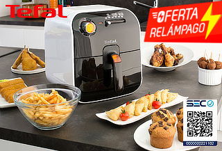 Freidora Fry Delight Tefal FX100015