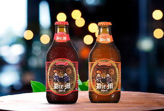 24 Cervezas Artesanales Die M