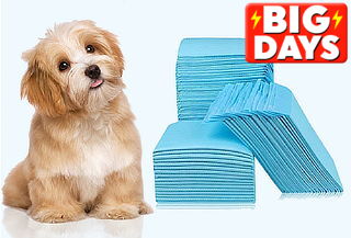 Pack 100 Toallas de Entrenamiento para Mascotas