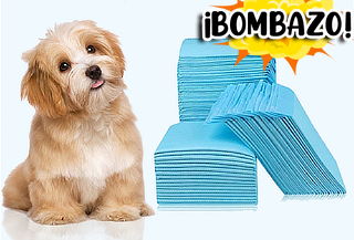 Pack 100 Toallas de Entrenamiento para Mascotas