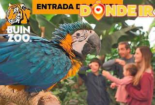 Entrada para Buin Zoo para adulto