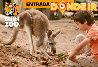 Entrada Buin Zoo para niño