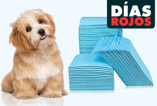 Pack 100 Toallas de Entrenamiento para Mascotas