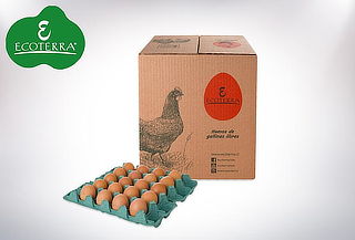 40 o 100 huevos L de gallinas libres de praderas.