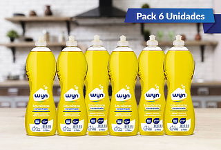 ¡Super Pack! Pack 6 botellas Lavalozas Wyn 750ml