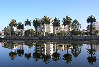 Tour en Viña Del Mar - Valparaiso - Casablanca