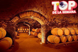 Wine Tour o Catas de vino en Viña Concha y Toro
