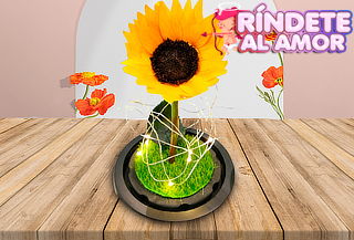 Girasol Preservado en Cúpula de Cristal + Regalo