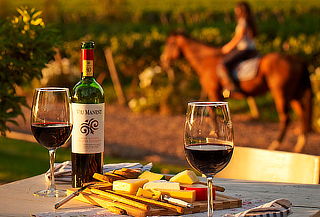 Valle de Colchagua con Cata de Vinos! Wine Master Experience
