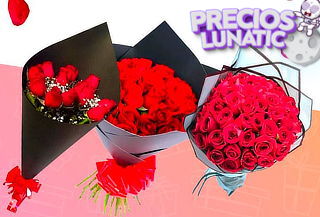 Bouquet de 24 Rosas Ecuatorianas Tipo Exportación