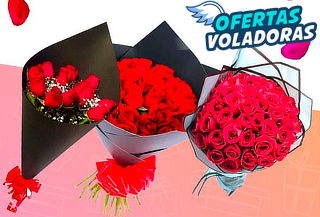 Bouquet de 24 Rosas Ecuatorianas Tipo Exportación
