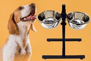 Set Platos Ajustable para Mascota de Metal