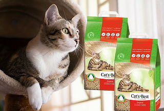 2 Sacos de Arena Ecológica Catsbest 3 Kg