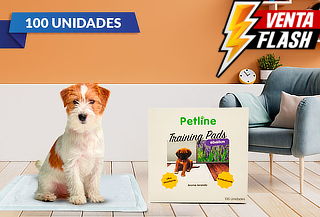 Pack 100 Toallas Entrenamiento Mascotas 60cm X 60cm